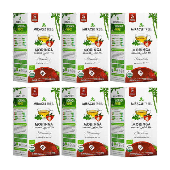 Organic Moringa Tea - Strawberry - Caffeine-Free Herbal Tea - Pack of 6 (150 tea bags) - Front of box
