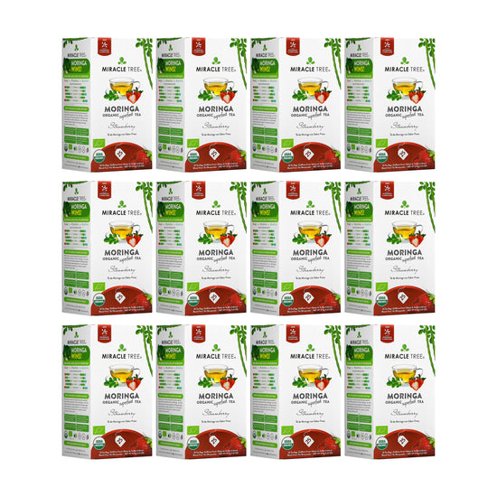 Organic Moringa Tea - Strawberry - Caffeine-Free Herbal Tea - Pack of 12 (300 tea bags) - Front of box