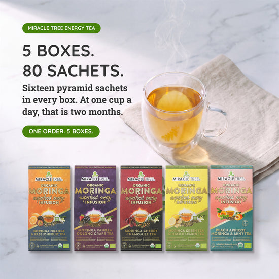 Organic Moringa Energy Tea Bundle - Starter Set - 5 Flavors - Value