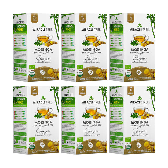 Organic Moringa Tea - Ginger - Caffeine-Free Herbal Tea - Pack of 6 (150 tea bags) - Front of box