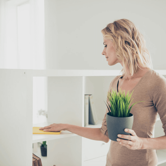3 Natural Cleaners Recipes for Spring Cleaning — Miracle Tree Blog