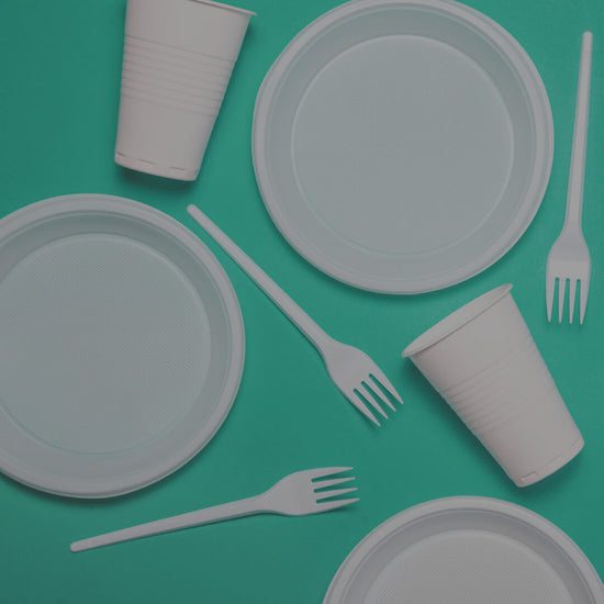 Plastics? No Thank You! | Miracle Tree