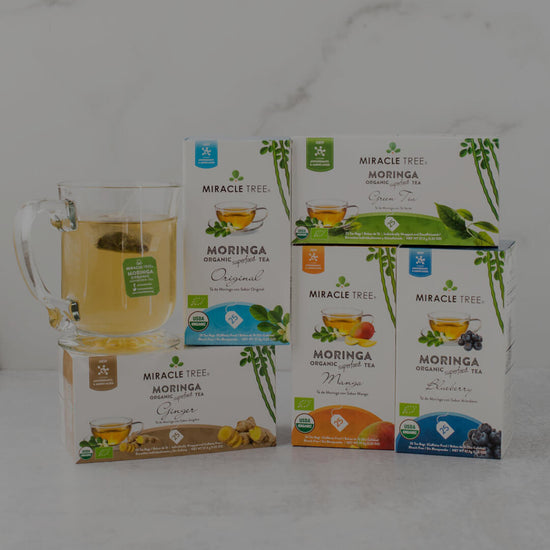 Our Customers Love Our Moringa Teas | Miracle Tree