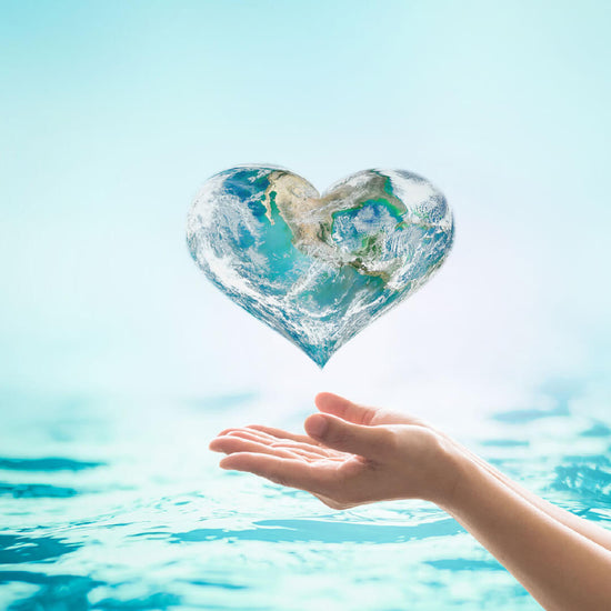 Celebrate Earth Day: How Our Moringa Superfood Supports a Healthy Planet — Miracle Tree Blog