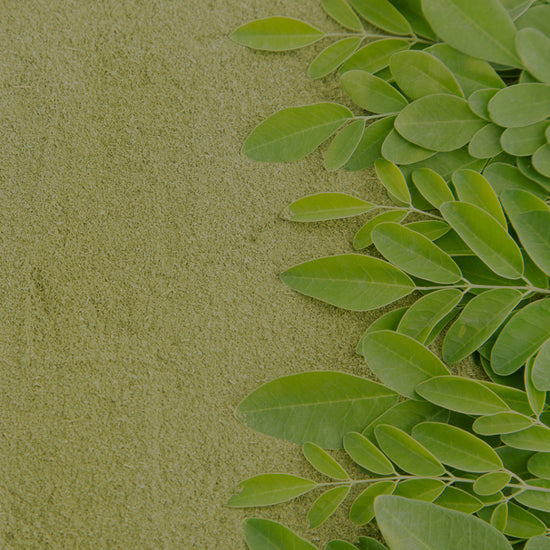 What Makes Moringa The Superfood Of Superfoods? — Miracle Tree Blog