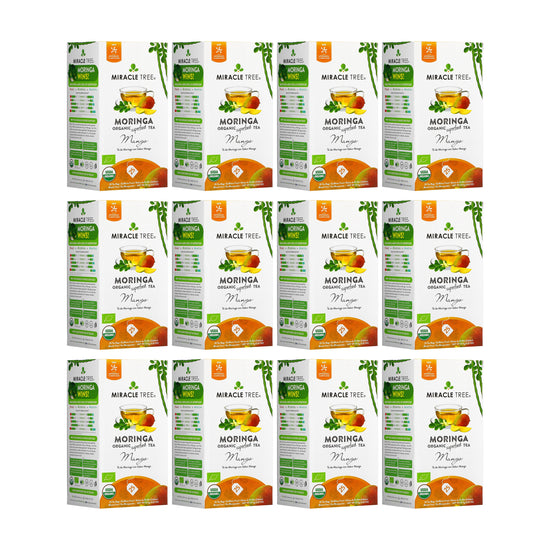 
                    
                      Organic Moringa Tea - Mango - Caffeine-Free Herbal Tea - Pack of 12 (300 tea bags) - Front of box
                    
                  