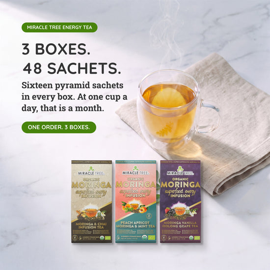 Organic Moringa Energy Tea Bundle - Mighty Set - 3 Flavors - Value