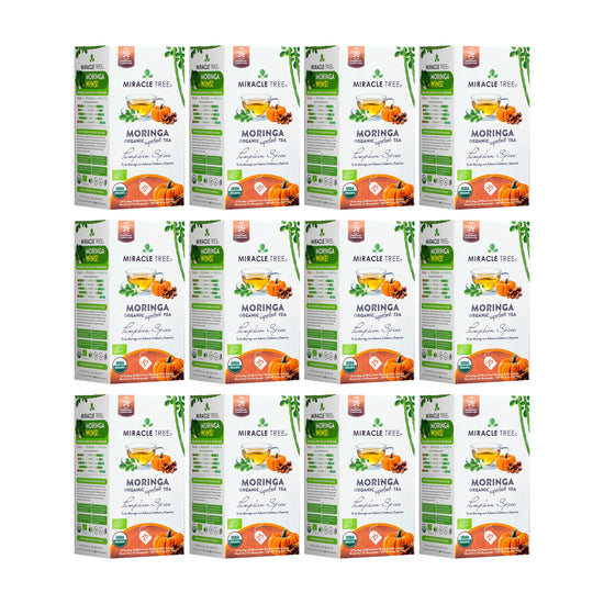 
                    
                      Organic Moringa Tea - Pumpkin Spice - Caffeine-Free Herbal Tea - Pack of 12 (300 tea bags) - Front of box
                    
                  