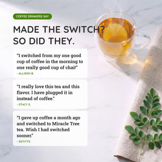 
                    
                      Organic Moringa Energy Tea Bundle - Spark Set - 3 Flavors - Why people switched
                    
                  