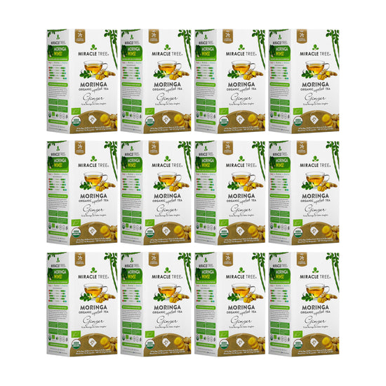 
                    
                      Organic Moringa Tea - Ginger - Caffeine-Free Herbal Tea - Pack of 12 (300 tea bags) - Front of box
                    
                  