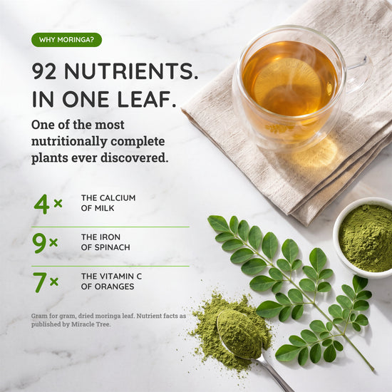 
                    
                      Organic Moringa Tea - Turmeric - Caffeine-Free Herbal Tea - Why moringa
                    
                  