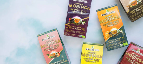 Boxes of Miracle Tree Organic Moringa teas are scattered on a light blue and white surface. Flavors include Moringa Vanilla Oolong Grape, Moringa Cherry Chamomile Hibiscus, and others, with colorful packaging.