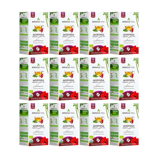 
                    
                      Organic Moringa Tea - Hibiscus - Caffeine-Free Herbal Tea - Pack of 12 (300 tea bags) - Front of box
                    
                  