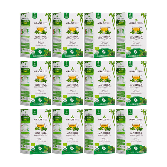 
                    
                      Organic Moringa Tea - Mint - Caffeine-Free Herbal Tea - Pack of 12 (300 tea bags) - Front of box
                    
                  