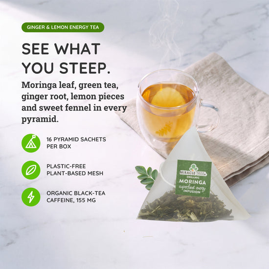 
                    
                      Organic Moringa Energy Tea - Ginger Lemon - Natural Coffee Alternative - Inside the box
                    
                  
