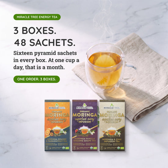 Organic Moringa Energy Tea Bundle - Zeal Set - 3 Flavors - Value