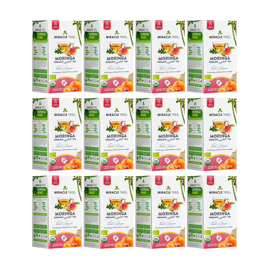 
                    
                      Organic Moringa Tea - Peach & Ginger - Caffeine-Free Herbal Tea - Pack of 12 (300 tea bags) - Front of box
                    
                  