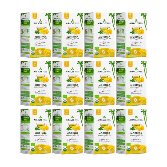 
                    
                      Organic Moringa Tea - Lemon - Caffeine-Free Herbal Tea - Pack of 12 (300 tea bags) - Front of box
                    
                  