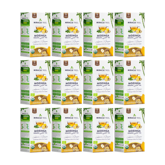 
                    
                      Organic Moringa Tea - Lemon & Ginger - Caffeine-Free Herbal Tea - Pack of 12 (300 tea bags) - Front of box
                    
                  
