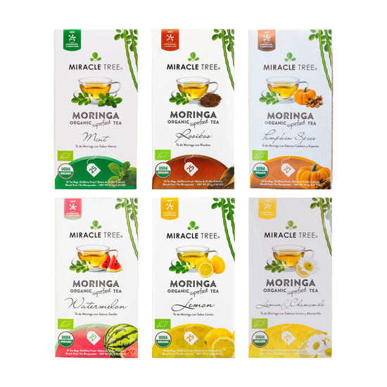 Organic Moringa Tea Bundle - Starter Set - 6 Flavors - Front of box
