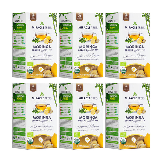 
                    
                      Organic Moringa Tea - Lemon & Ginger - Caffeine-Free Herbal Tea - Pack of 6 (150 tea bags) - Front of box
                    
                  
