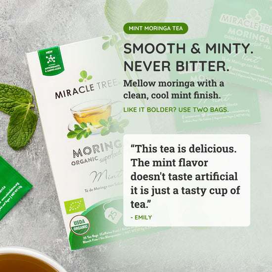 
                    
                      Organic Moringa Tea - Mint - Caffeine-Free Herbal Tea - Taste
                    
                  