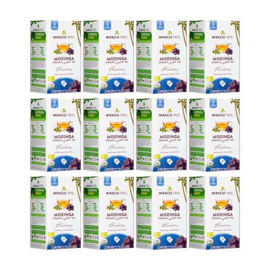 
                    
                      Organic Moringa Tea - Blueberry - Caffeine-Free Herbal Tea - Pack of 12 (300 tea bags) - Front of box
                    
                  
