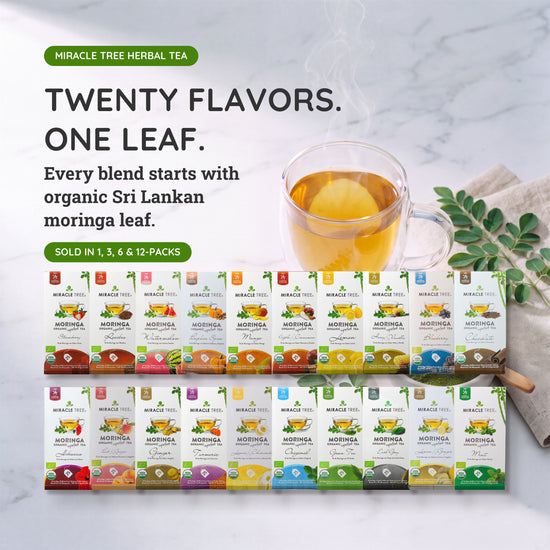 
                    
                      Organic Moringa Tea Bundle - Starter Set - 6 Flavors - The full range
                    
                  
